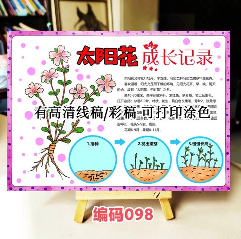 迷你世界怎么种向阳花[图1]